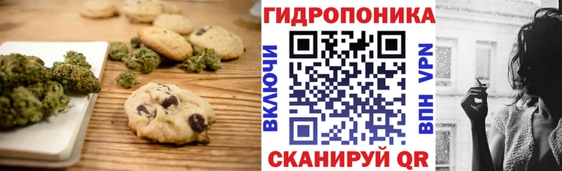 Canna-Cookies марихуана  Купить закладки  Шарыпово 
