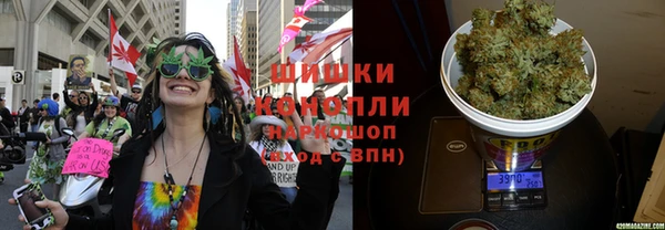 трава Протвино