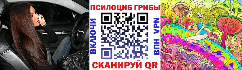 Купить закладки  Шарыпово  Галлюциногенные грибы прущие грибы 